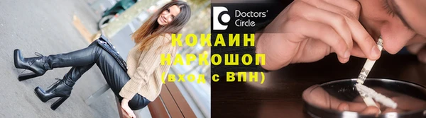 хмурый Магас