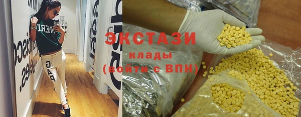 хмурый Магас