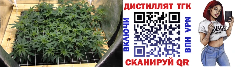 ТГК гашишное масло  omg вход  Абинск 
